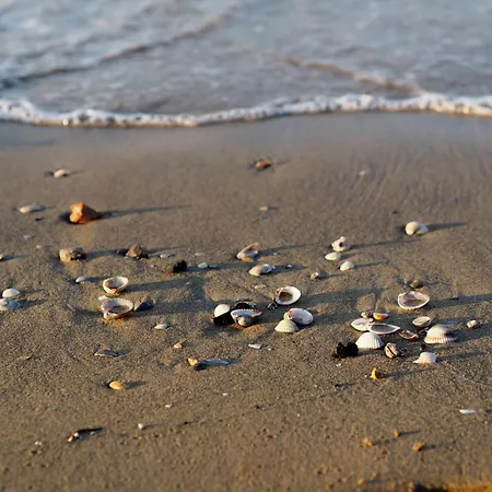Peaceful Seaside - Beahost Bibione