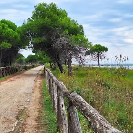 Apartmán Peaceful Seaside Apartment-beahost